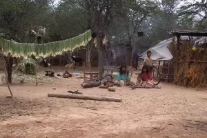 Investigan 26 muertes de menores de cinco aos por desnutricin o deshidratacin en Tartagal