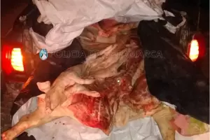 Secuestraron 400 kilos de carne en un puesto caminero en Valle Viejo