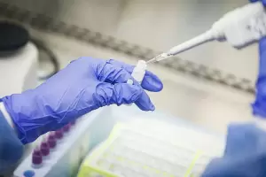 Catamarca detect 19 casos nuevos y sum 17 pacientes recuperados