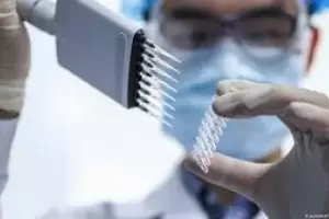 Argentina aprob el suero equino hiperinmune como tratamiento para el COVID-19 moderado y severo