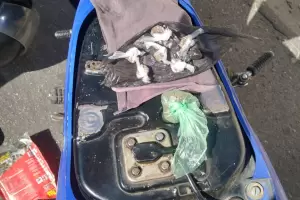 Secuestran droga en el norte de la Capital