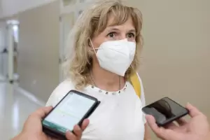 Palladino tras la denuncia por el plan de vacunacin: Fue presentado en tiempo y forma a las autoridades del Legislativo