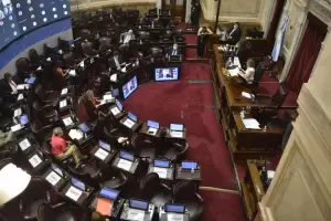 El Senado convirti en ley la legalizacin del aborto