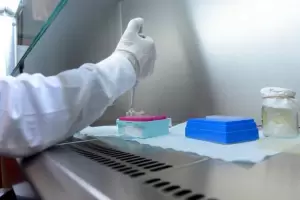 Coronavirus en Catamarca: se registraron 62 contagios y 77 pacientes recuperados