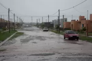 Un perro de raza peligrosa atac a un nio de 5 aos en el rostro y la cabeza