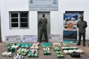 Gendarmera realiz millonario secuestro de hojas de coca