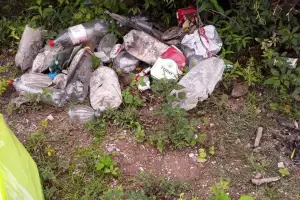 Ambiente trabaja la limpieza en los diques provinciales