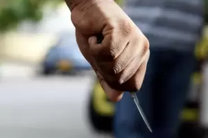 Defendi a su pareja y fue apualada