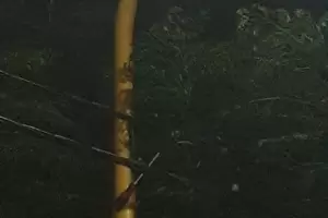 Intent� �colgarse� de la luz, sufri� una descarga y est� muy grave