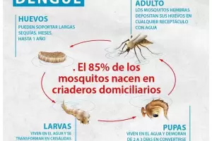 Dengue: la prevencin es la mejor estrategia para combatirlo