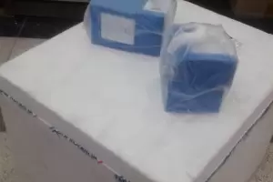 Suero equino: el hospital Malbrn recibi hoy los 25 tratamientos que compr la Provincia