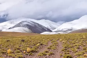 El alerta meteorolgica en la Puna dej nieve y bellas postales