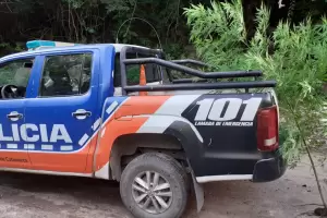 Secuestran una planta de marihuana en Capayn