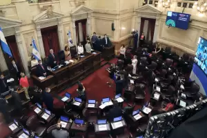 El Gobierno habilit� al Congreso a tratar el proyecto para suspender las PASO este a�o