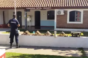 Secuestran aves canoras en Ancasti