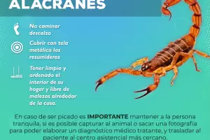 Salud advierte sobre la aparicin de animales ponzoosos