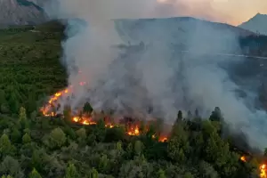 El Bolsn: el fuego sigue activo y ya consumi ms de 10 mil hectreas de bosque y dos viviendas