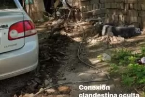 Entre marzo y abril podra aumentar la tarifa de luz en un 12%