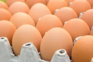 C�mo guardar los huevos en la heladera: el secreto para evitar contaminaciones