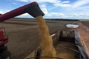 El Gobierno no descarta una suba de las retenciones al campo, con el argumento de contener la inflacin