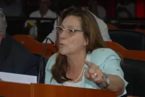 Contina la polmica dentro de la UCR