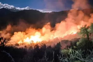 Brigadistas de Lucha Contra Incendios Forestales colaborarn en los incendios en el sur