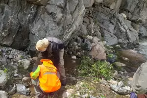 Constante monitoreo en los Sistemas de Alertas Tempranas (SAT)