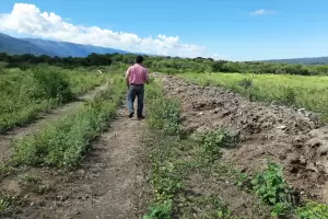 Inspeccin a emprendimiento avcola en Pacln