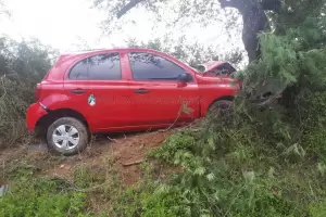 Se estrell contra un rbol y fue hospitalizada