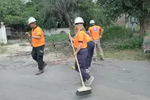 Continan las tareas de limpieza en Valle Viejo