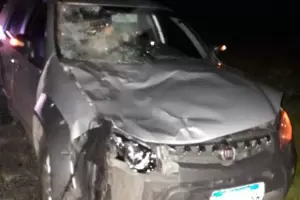 Impactante choque de una camioneta con un caballo en la Ruta 157