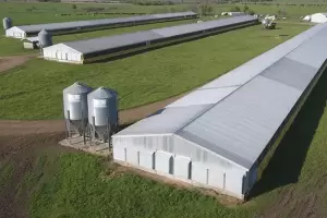 Buscan impulsar la actividad avcola a travs de FEPASA