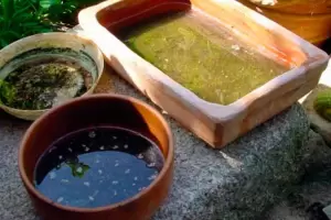 Advierten que el brote de dengue es el ms grande que tuvo Argentina: Super al de 2016 y 2020