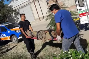 Lo hallaron abandonado