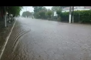La tormenta en el Este dej cados ms de diez postes de media tensin