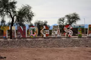Camioneta con dos ocupantes a bordo embisti a una vaca en Tinogasta