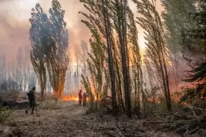 Incendios en Chubut: llovi pero an quedan focos activos y hay 11 personas desaparecidas en la Comarca Andina