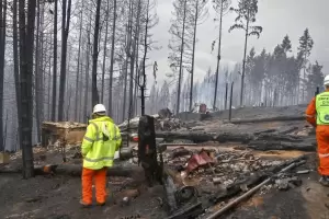Continan los incendios forestales en Corrientes, Ro Negro y Misiones