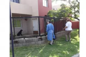 Control focal y descacharrado contra el Dengue