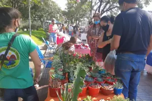 Proyecto local de comercializacin: Innovacin en circuitos cortos de comercializacin de productos locales