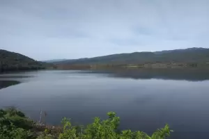 Preocupante situacin en el Dique de Sumampa: gran cantidad de peces muertos