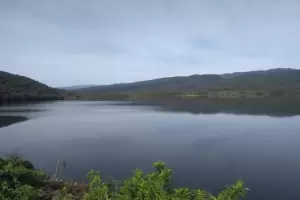 Tras el relevamiento de Ambiente no hay "hiptesis plausible" sobre la mortandad de peces