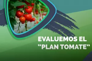 El diputado Lobo Vergara exigi un informe sobre la inversin en el "Plan Tomate"