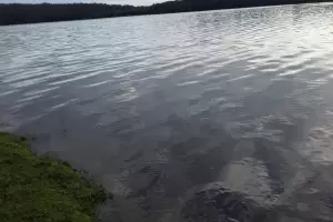 Levantan veda de pesca deportiva en Sumampa, tras la mortandad de peces