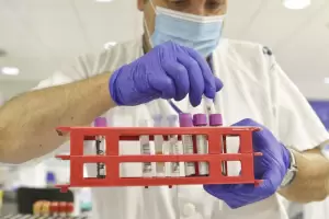 Coronavirus: confirman que la cepa Manaos se registr en Santiago del Estero