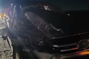 Violento accidente: una camioneta impact contra un caballo suelto en la ruta