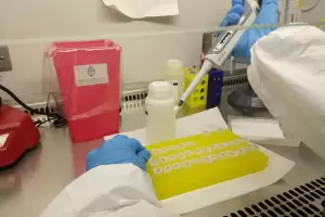 La provincia super los 60.000 test de PCR desde el inicio de la pandemia