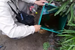 Catamarca es la provincia con menos casos de dengue a nivel nacional