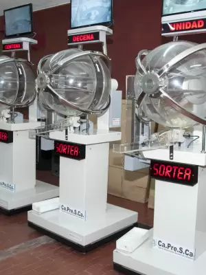 Resultado del sorteo de la tarde de la quiniela de CatamarcaResultado del sorteo de la tarde de la quiniela de Catamarca