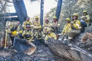 Regresaron los brigadistas que se destacaron en el combate de los incendios en el sur
